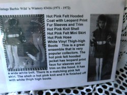 3416 WILD COAT